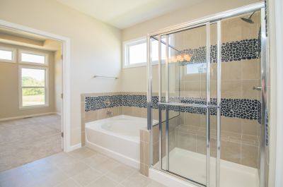 Elegant Glass Shower Door